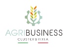 Agribusiness Cluster Brixia